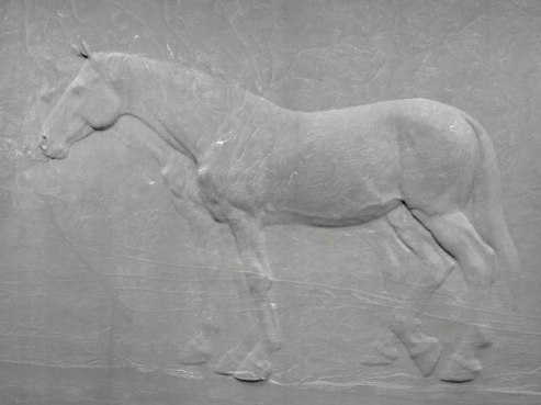 An embossed image of a horse in motion, reminiscent of the energy at I Am a Man Plaza, highlights its muscular side profile against a textured, light-gray background.