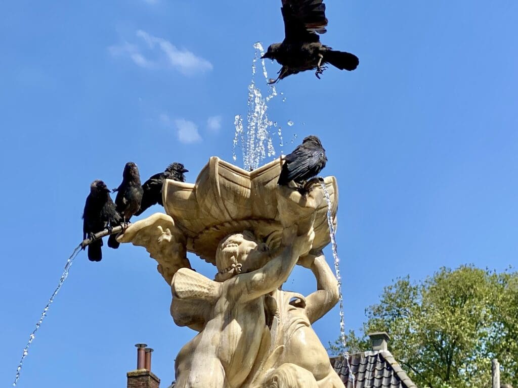 Several crows perch on a stone fountain adorned with cherub statues, showcasing the benefits of stone preservation, while one crow flies above the spraying water. The clear blue sky frames rooftops and green trees in the background.