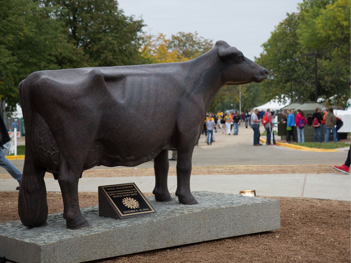 A life-sized bronze cow statue, known as Miss Madison, stands on a stone pedestal with a plaque. Set outdoors on a cloudy day, people walk by in the background near trees and white tents at what seems to be an event or fair.
